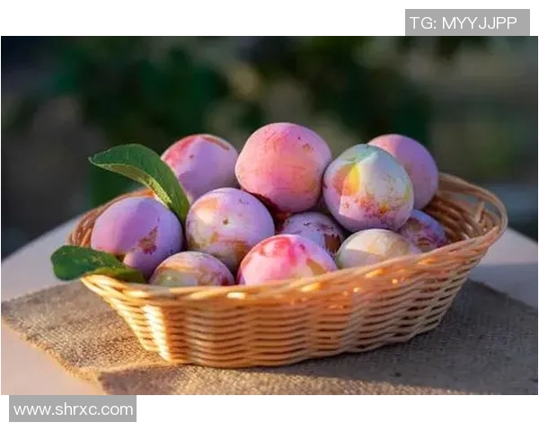 足球明星减肥饮食揭秘健康餐单助力运动表现提升