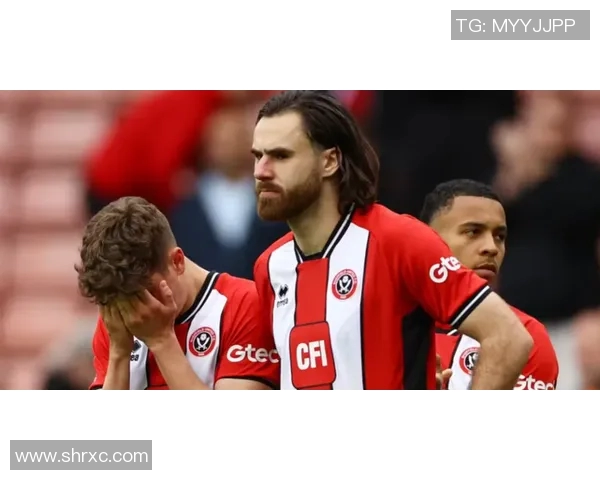 布莱顿主场迎战谢菲尔德联队期待精彩对决与激烈竞争